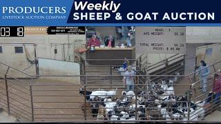 9/17/2024 -Producers Livestock Auction Company Sheep & Goat Auction