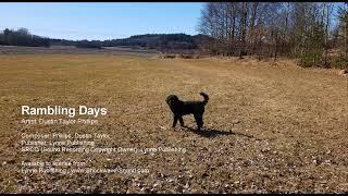 Rambling Days - Dustin Taylor Phillips (Lynne Publishing)