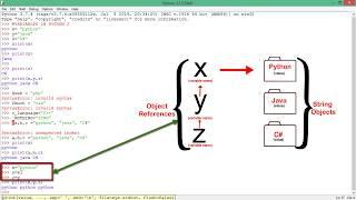 #5 Python 3 Tutorial | Single and Multiple Variables Assignment