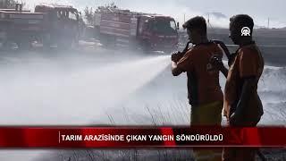 Tarım arazisinde çıkan yangın söndürüldü