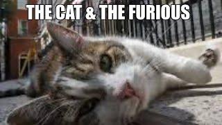 Larry The Cat In The Cat & The Furious