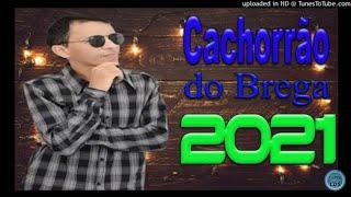 cachorrão do brega músicas novas 2021. Bielzin Cd,s