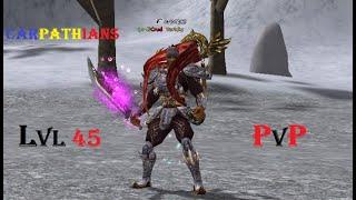 Metin2 Carpathians low lvl pvp