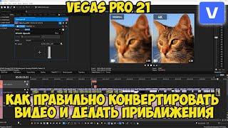 Vegas Pro 21. Как правильно конвертировать видео и делать приближения
