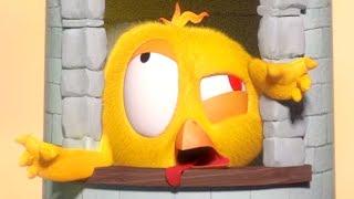 Where's Chicky ?  KING CHICKY - NEW episodes in HD