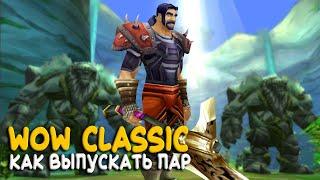 World of Warcraft Classic - Если нужна разрядка, то можно делать это!