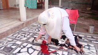 Video of women slaughtering a goat by Gull Baji #trending #goat# slaughter #viralvideo