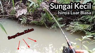 SUNGAI RASA KOLAM‼️Mancing Wader dan Seluang Di Sungai Kecil