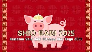 RAMALAN SHIO BABI DITAHUN 2025 : Ramalan Shio Babi Ditahun Ular Kayu 2025