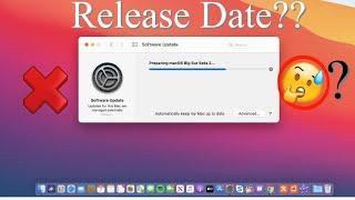 macOS 11 Big Sur Public Beta Update - When Is It Going To be Released ?