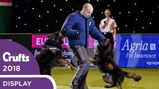 West Midlands Police Dog Display | Crufts 2018