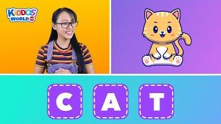 3 Letter Words Spelling | English Spelling | English Vocabulary and Phonics Sounds