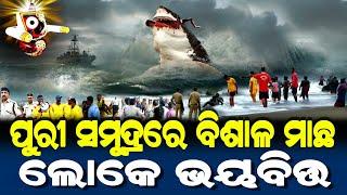 ପୁରୀ ସମୁଦ୍ରରେ ବିରାଟ ମାଛ... ଲୋକେ ଆତଙ୍କିତ | Lord Jagannath Story | Odia Short Story |