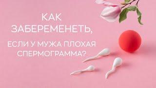 ​ Как забеременеть, если у мужа плохая спермограмма?