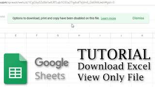 [TUTORIAL] - How To Download View Only Google Sheet File