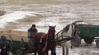 GARBOVI concurs Boboteaza 2019