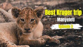 Best Kruger National Park trip yet | Exploring Manyeleti Game Reserve | Episode 4