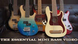 THE ESSENTIAL UKULELE BASS / MINI BASS VIDEO! (Kala vs Flight vs Fender)