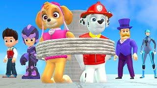 Paw Patrol Story at ATM With Mayor! A Thrilling Money Battle | Papup Cartoon