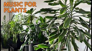 Music for Plants To Stimulate Plant Growth, Happiness and Wellness 