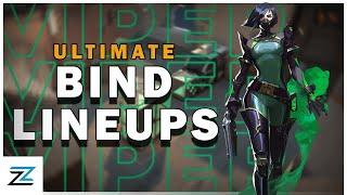 Ultimate Viper Bind Post Plant Setup Guide | Viper Setups