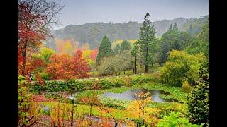 Autumn Highlihts of the Adelaide Hills