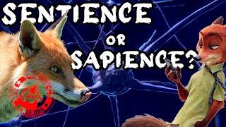 Sentient or Sapient - What's the Difference? | Sentience in Animals Explained