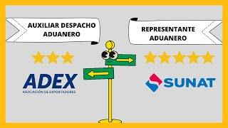 Auxiliar Despacho Aduanero | Representante Aduanero SUNAT IAT