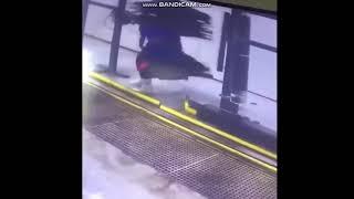 Man Gets Stuck In Car Wash- Funny