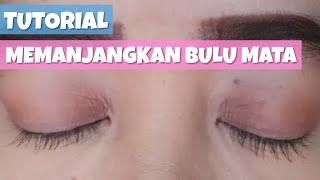 Tutorial Memanjangkan Bulu Mata Secara Alami