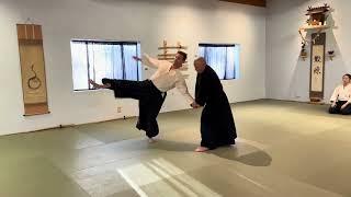 Aikido: Shiho Nage (level change)