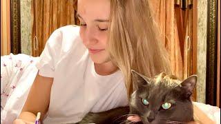 Josephine & Cat | Short film