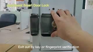 Digital app Wifi biometric smart fingerprint  lock double sided fingerprint door lock