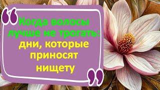 Когда волосы лучше не трогать: дни, которые приносят беду. Когда нельзя стричь волосы?