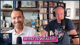 What is Wealth? | Animal Spirits 375