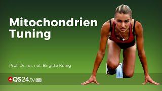 Mitochondrien Funktion optimieren | Prof. Dr. rer. nat. Brigitte König | QS24 Gesundheitsfernsehen