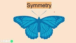 Symmetry Lesson