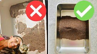 Cat litter box hacks that will save your life
