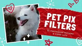 30 Pet Pix Photoshop Actions & Video LUTs - Enhance Your Pet Photography with Stunning Effects