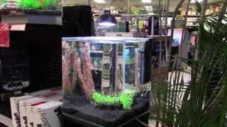 Benefits of using LED lighting in an aquarium