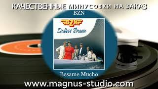 BZN - Besame Mucho минусовка фрагмент MINUS DEMO