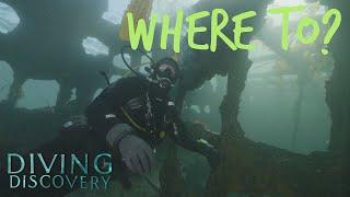 Diving Discovery (Ep. 3): Epic Dive Sites