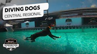 Incredible Dog Challenge: Dog Diving Central Regional | NBC Sports