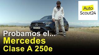 Mercedes Clase A 250 e HÍBRIDO enchufable 2021| Prueba / Review en español | AutoScout24