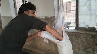 fastest full Goat cutting skills | speed check Karen Bakra utarane mein| بکرے کی کھال اتارنے کا