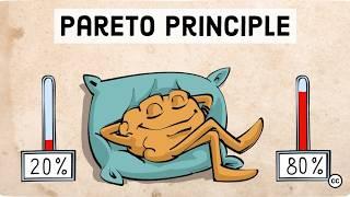 Pareto Principle: The 80/20 Rule