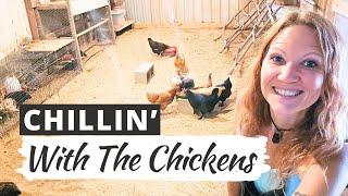 CHILLIN' WITH THE CHICKENS: Spending Time Getting To Know My Hens!