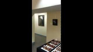 Iona House Gallery Exhibition 2014 - Washington D.C.