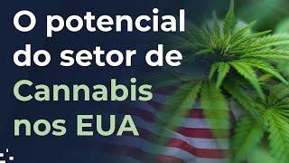 Por que o setor de Cannabis nos EUA é uma aposta promissora