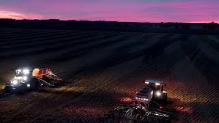 STRIP TILL Z MZURI 4K